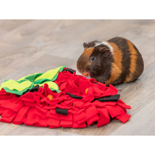 V4H04474D15ED64CFC5700C73BF0C2D8BAAR7459573P7