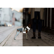 V3H7FFD28AECEC4C72CB4EB550B8531E696R7461535P10