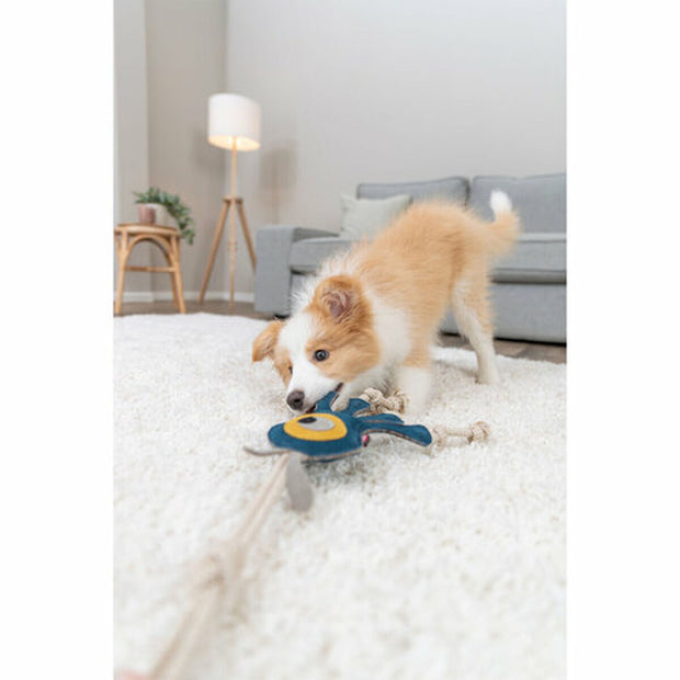 V3HA48C104ED267DFD20D34DBCEF6823D2FR7449073P6