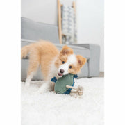 V3H0217513F810EA9C9BC20BB7529A87A00R7462293P10