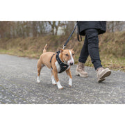 V3H4BA2097E6B7C1E23BDB5111D9E4DEA54R7451938P7