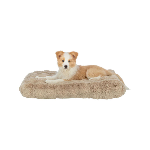 V3HCB16CE0D4824F32DF614297B8CAC6606R7463542P3