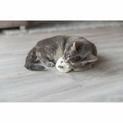 V3H07ABF50A07520B96B88B9719AE6C92CCR7463133P8