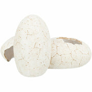 V6H9C982F4937C1411E4777FA6652E084B0R7455830P4