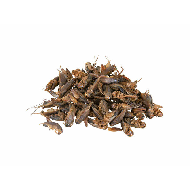 V5H443A0578E27CAF2CA7608F3F47957E0AR7447064P3