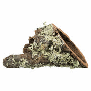 V5HB4A7A7FCB51EBBDFF49C3353424CB28FR7446167P2