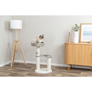 V2H58CD619B2CD590086F33B958015B800CR7428853P5