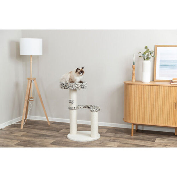 V3HAB859E554C0C681DBA25246A350BEA62R7428854P6