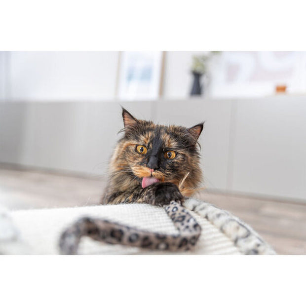 V3H680B66F4BD43F41F23B76E68C949286CR7431713P8