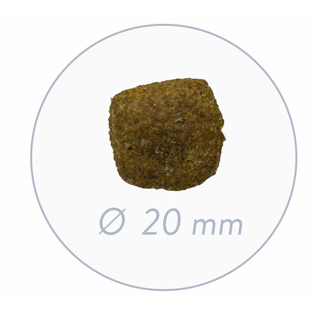 V5HCE5FBC8D5562E49C34F7BE24D51C6E0DR4077794P3