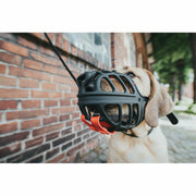 V8HF4DAE80AE776107B1655C2C37066B816R5597929P2