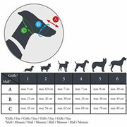 V7H2F5D4D23E6E22F83C6AABB8EE8573DD4R2386981P2