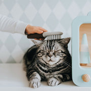 V9H66E6C00C3C3A56D39CEB2481D184AC19R4267965P3