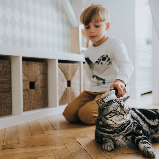 V9H5E351B2379125EC1C6BF8FDAE23666E3R4267966P4