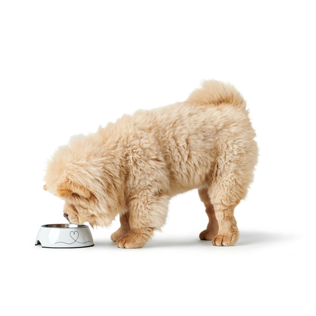 V3H9EB8BD6B0FD1603B82118260F3303332R5574398P2