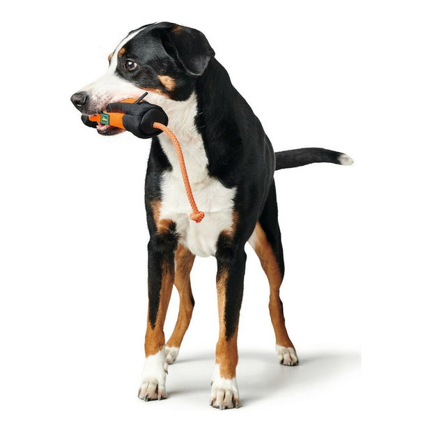 V9H5B9CA5F93F34598B97471A8EB81DC6A6R3888689P4