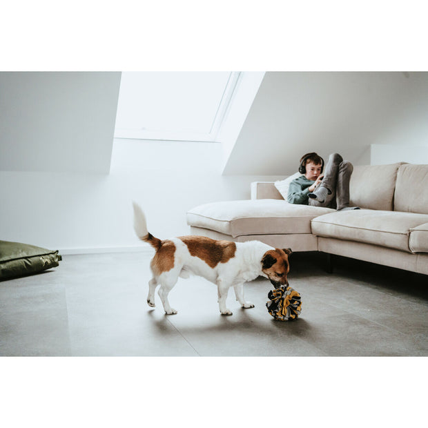 V4HEE563DB11E64FCB442CEE5D393741A75R5333597P5