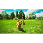 V4H21214EE3861C38F34D85F46C0CD60825R5333735P5