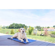 V2HA6BD434E654F349D4D53A58452C0AA31R7467609P4