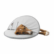 V5H356C990DDA50675C5BE020C307EAD882R7440234P9