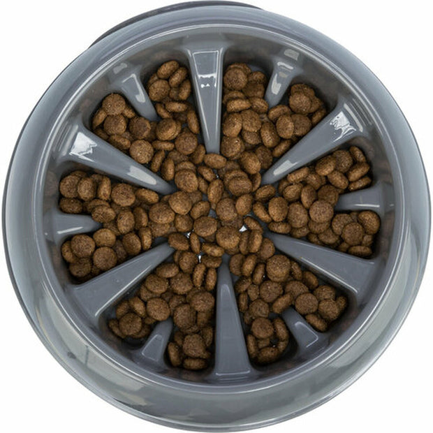 V5H3F4CACC658292EBEF97AD53BC06AD1BAR7455431P6