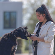 V5HB872DEA5AE17BEE07181F92D4C807D72R5329848P8