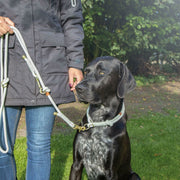 V5H3434D23F362E0731F80FC16598BC1804R5330778P2