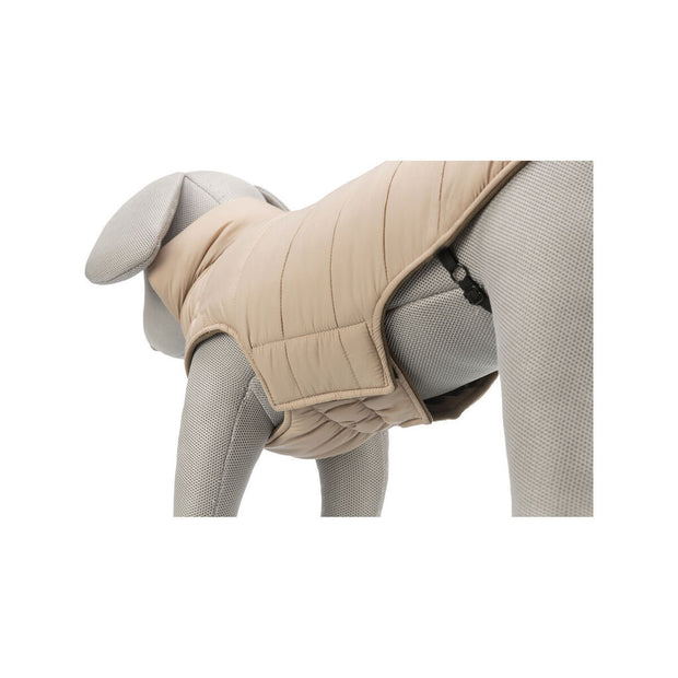 V5H81A9D8EAED44B2FE59C223A8188797B7R7461031P7