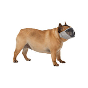 V5HA02355E55BAD62737E847EAB8A2C73C5R7439891P3