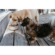 V4H15CA4A8184B12474465F927593094766R6456018P4