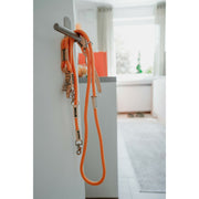 V3H58B2609361660D871C8A24C1650257BDR5582801P5