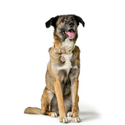 V3HA4343B6EB71B96EFC906A72F8204E452R5575472P5