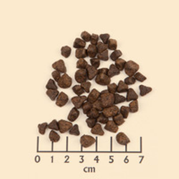 V3H9DE1FBC5959EEF60FCEE2D5839A370B3R6454323P4