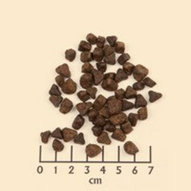 V3H3F7BCDF0EC6701A2774FCB84497E2AB6R6454319P2