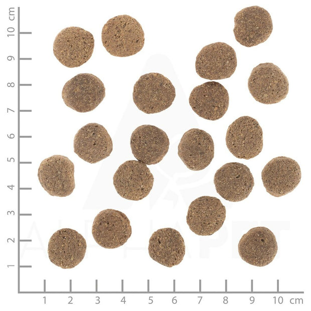 V3HE07C587D1DC6FC97D560EA294D009FB2R6454407P3