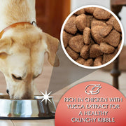 V3H338FAC2004FFA36C0CF3BD19E5957F97R6450382P3