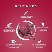 V3HE538C62AB43F611F584ED34481DB2608R6450252P2