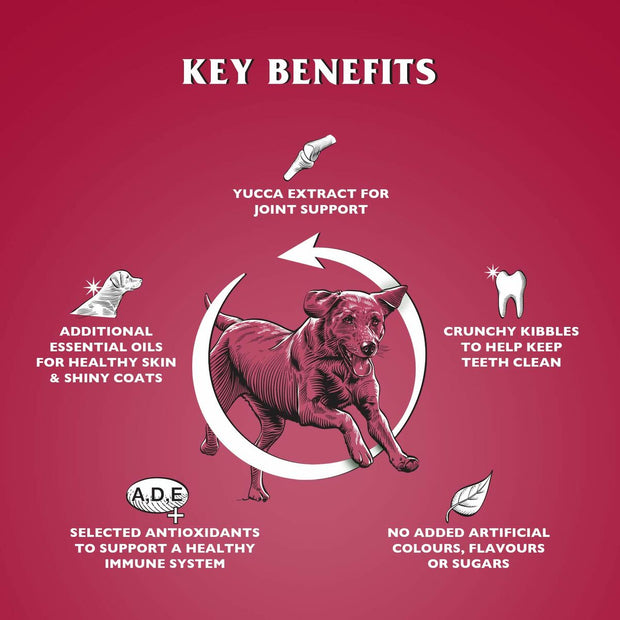 V3HE538C62AB43F611F584ED34481DB2608R6450252P2