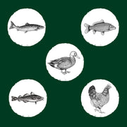 V3HEAFB7B106BF3B8509F35004CA26EE2BDR5624066P6