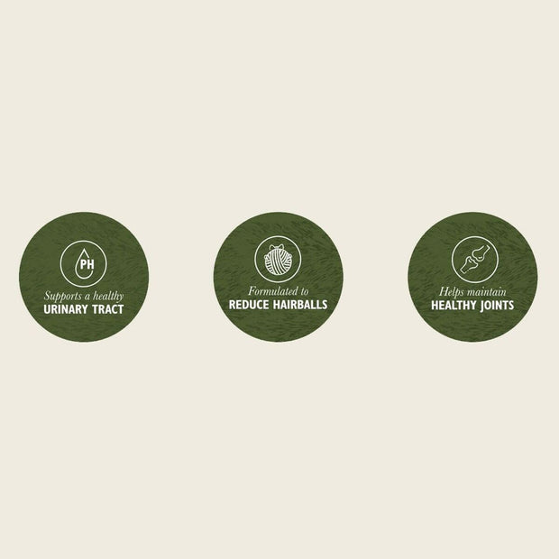 V3H53A871D99AE913B8E1381412893ABCABR5624083P5