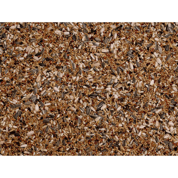 V5H47469E0905B8107EC843C296739BF854R7444020P3