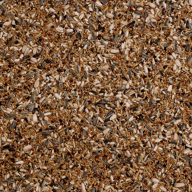 V5HCC00BD20819B33C045B31CC31BA1D26BR7444023P4