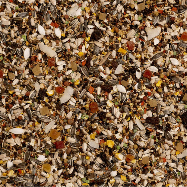 V6HE2F0E4659396CA303DB3F4753A8F20B2R7444040P4