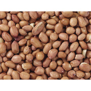 V4H36B6B0E93CA7A72E76B83BE63C00EF58R7449966P3