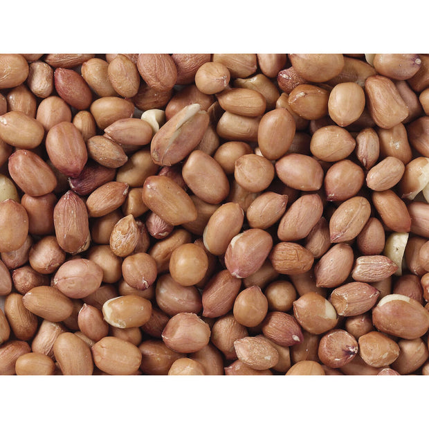 V4H36B6B0E93CA7A72E76B83BE63C00EF58R7449966P3