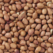 V4HB98269DCF531C91FCD0E2A921E3F511BR7449967P4