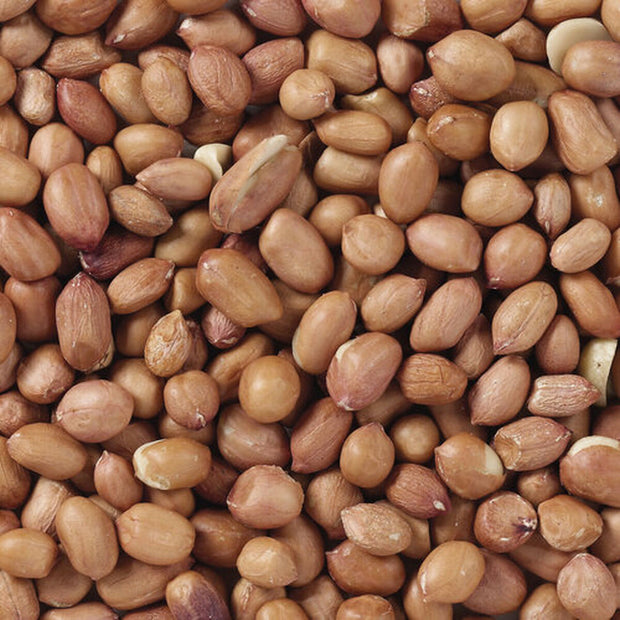 V4HB98269DCF531C91FCD0E2A921E3F511BR7449967P4