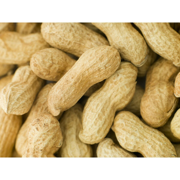 V4H2F9F25EC63120DA1E91F3600B0ED5193R7447879P3