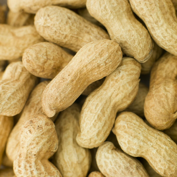 V4HAAB38BB9FBB7383ADD7578CEE74116A7R7447882P4