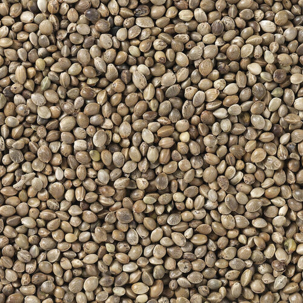 V5H39BCC0A9733A2E4DDC9CCC58BDF7271DR7449983P4